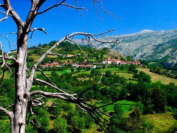 Entorno casa rural L'Arboleu Asturias Teverga Entorno casa rural L'Arboleu Asturias Teverga