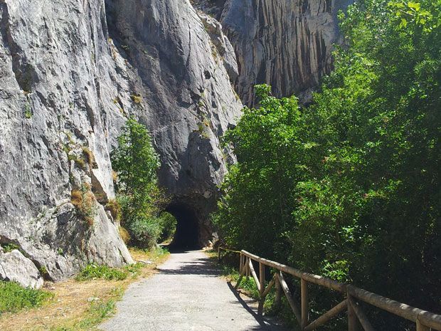 Senda Oso Asturias, ruta de senderismo Casa rural muy cerca de la Senda del Oso, ruta de bicicleta y senderismo en Asturias