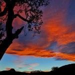 Atardecer casa rural L'Arboleu Asturias Teverga