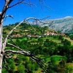 Entorno casa rural L'Arboleu Asturias Teverga