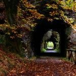 Senda del Oso cerca casa rural L'Arboleu Asturias Teverga
