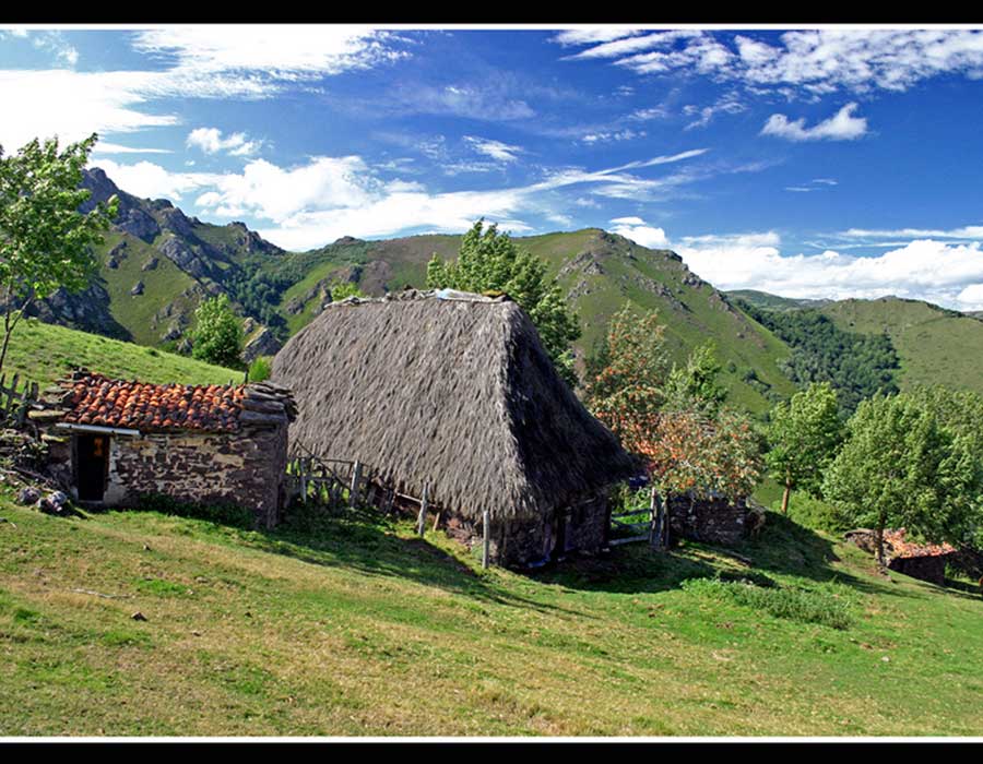Teito-braña-el-Rebellón-BOOKING